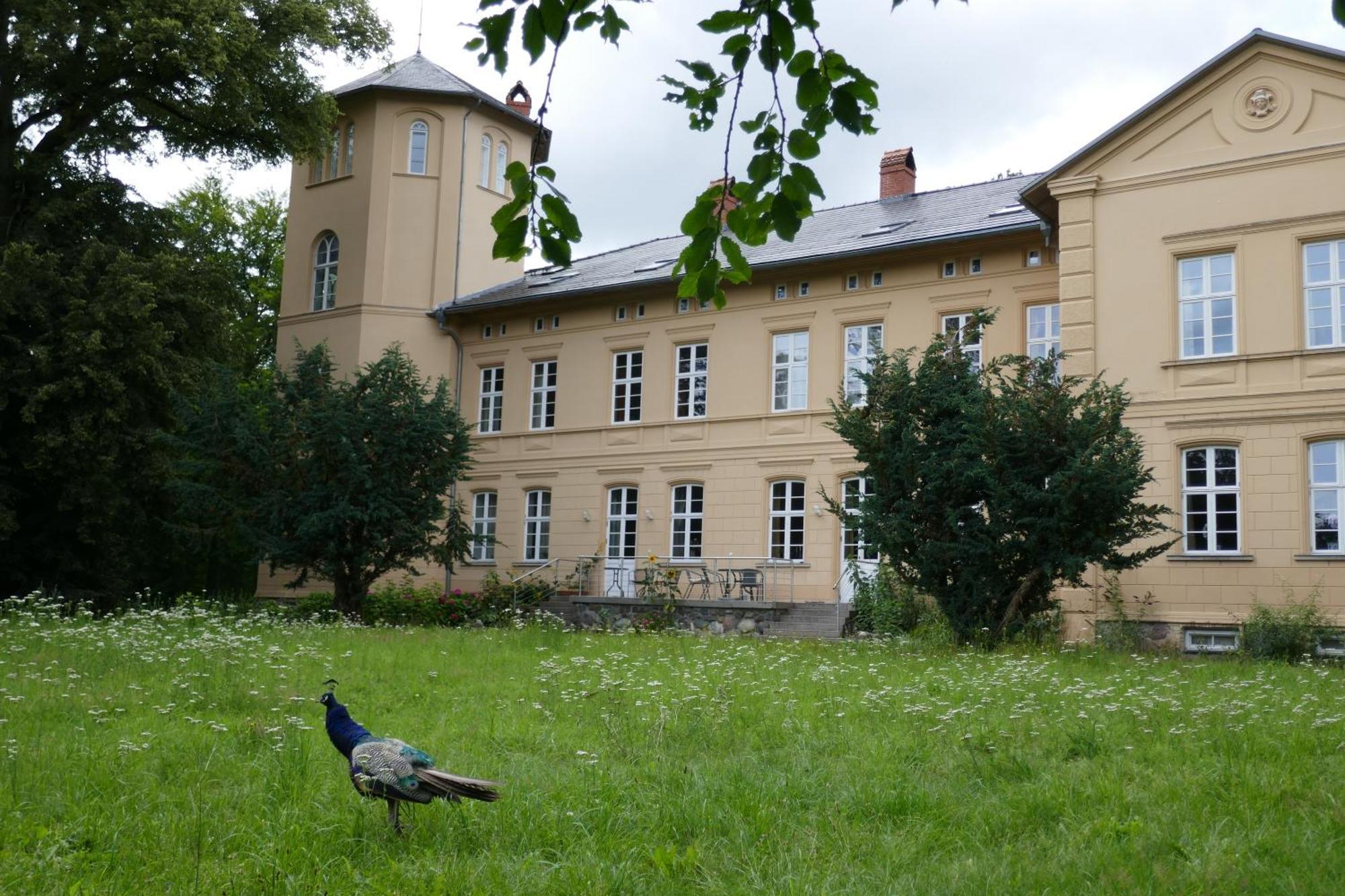 Landhaus Schloss Koelzow Kolzow Exterior foto